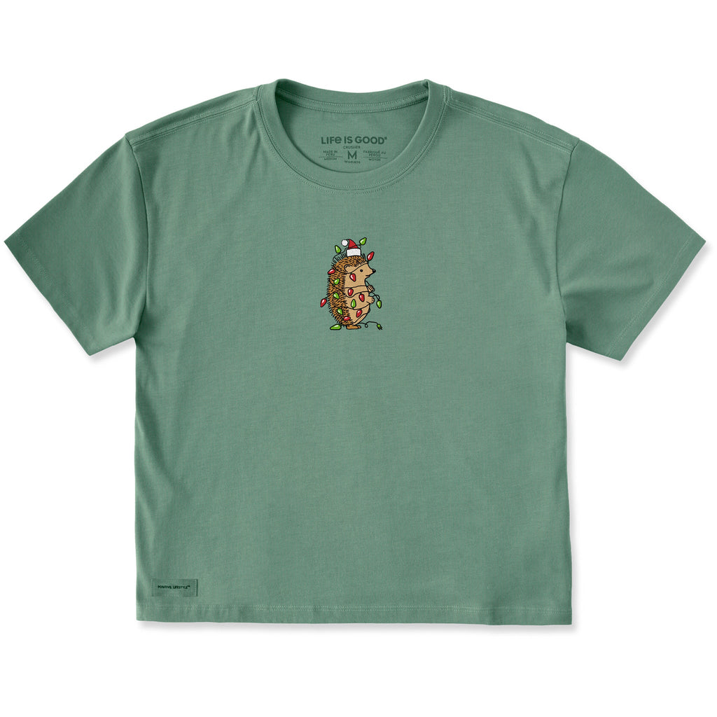 Women's Christmas Hedgehog Short Sleeve Crusher Boxy Tee