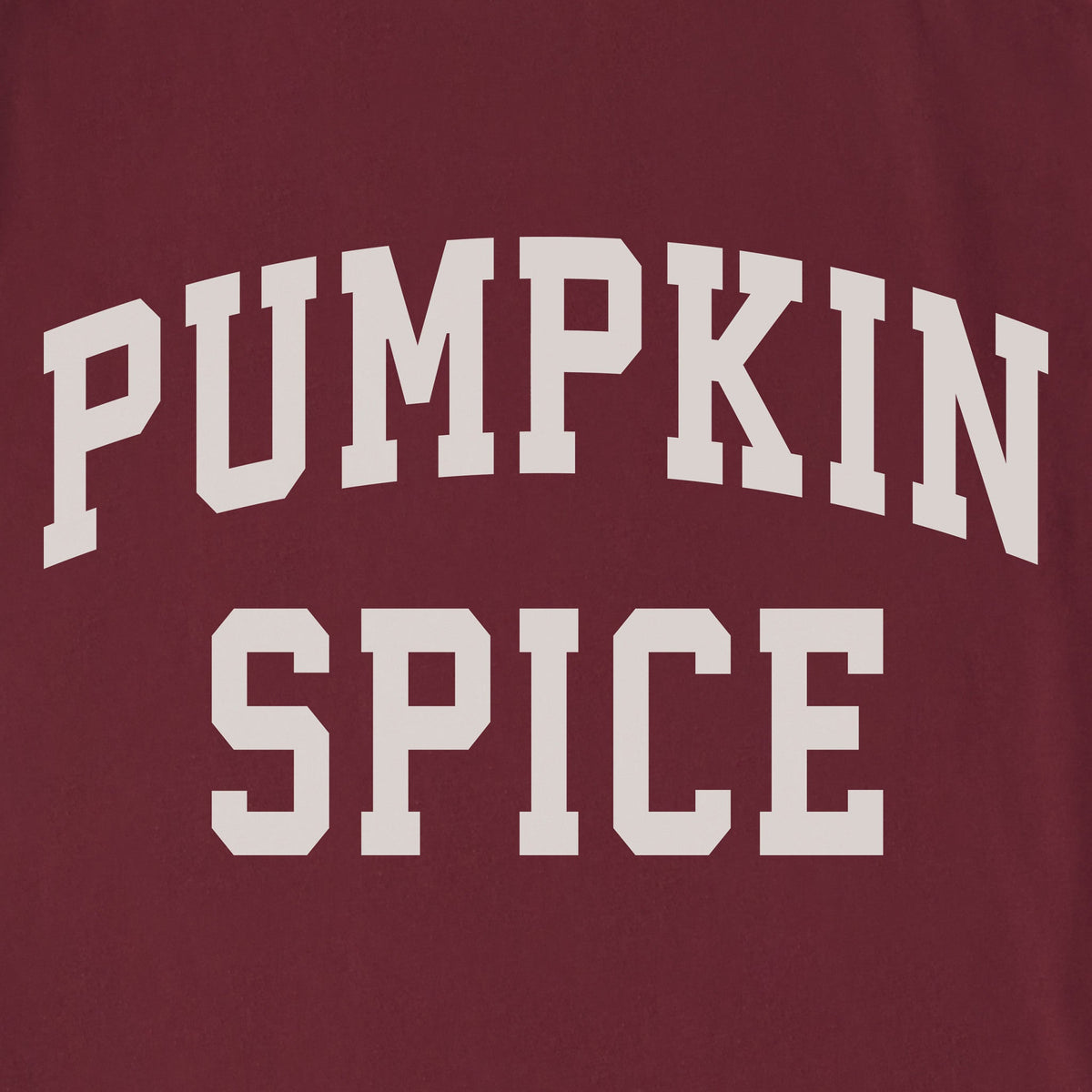 Unisex Pumpkin Spice Arch Sleeve-Striped Tee product image 2