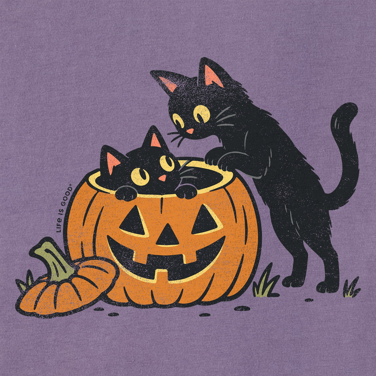 Women's Cats in a Jack Short Sleeve Crusher Boxy Tee product image 2