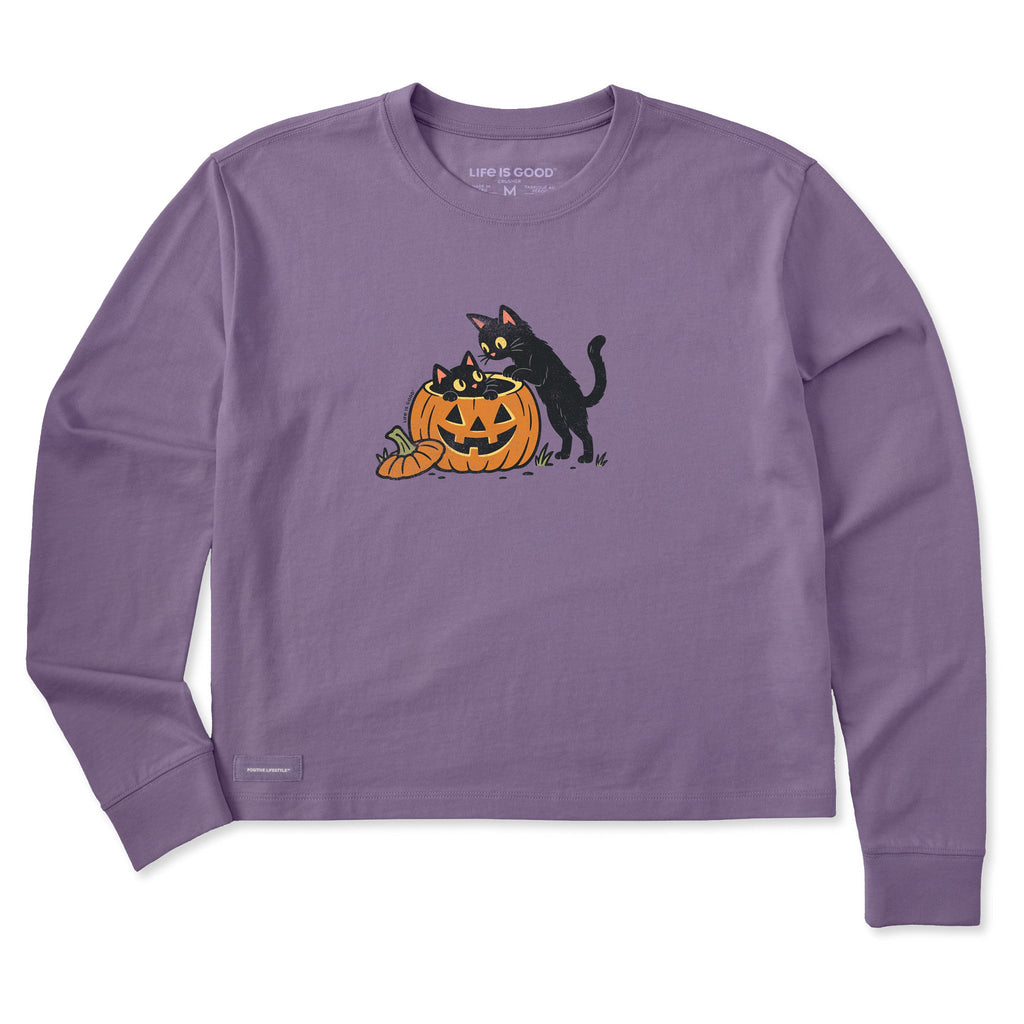 Women's Cats in a Jack Long Sleeve Crusher Boxy Tee product image 1