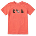 Kids Spooky Season Cat Trio Short Sleeve Crusher Tee product image 1