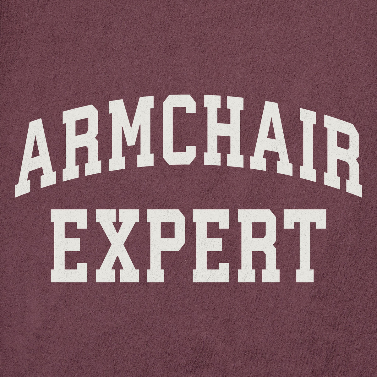 Men's Armchair Expert Short Sleeve Crusher Tee product image 2