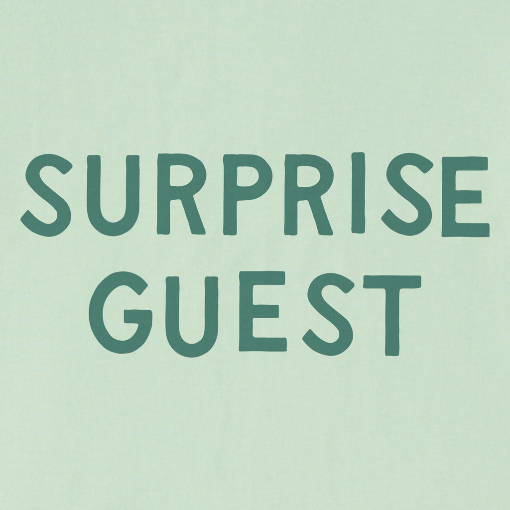 Women's Surprise Guest Short Sleeve Crusher Tee product image 2
