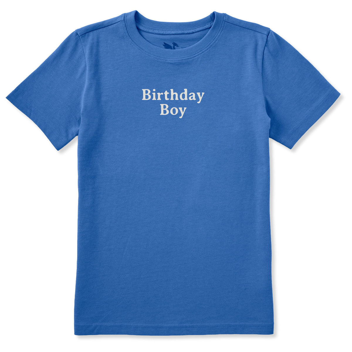 Kids Birthday Boy Simple Short Sleeve Crusher Tee product image 1