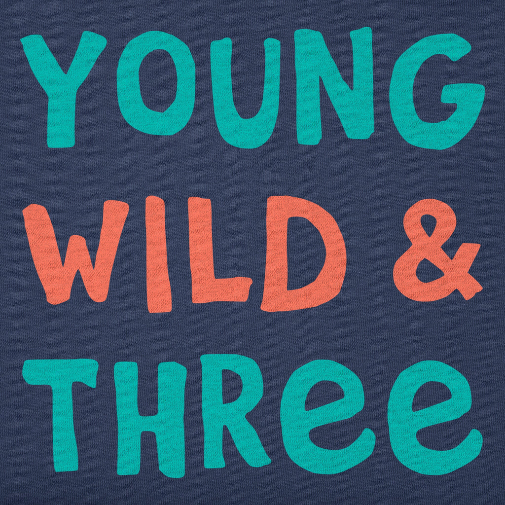 Toddler Young Wild and Three Short Sleeve Crusher Tee product image 4